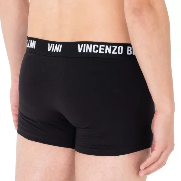 Vincenzo Bellini Boxershorts Vincenzo Bellini Boxershorts 8er Pack In 3 Farbvarianten (8er Pack) Mit Logo Webbund, Doppelt Genäht 7