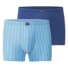 CECEBA Langer Boxer CECEBA Herren Long-Pants Blau Längsgestreift 2er P (2-St) 14