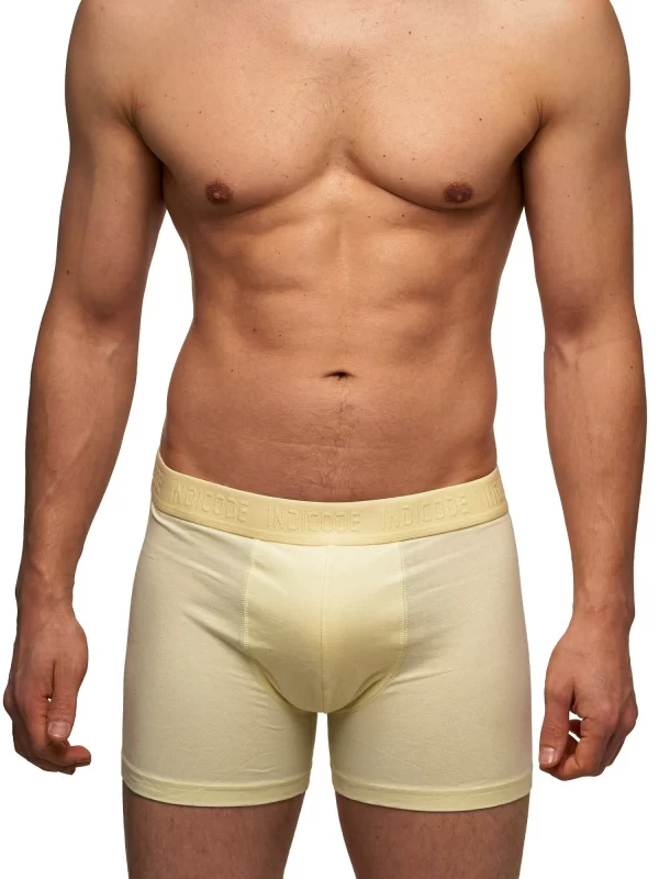 Indicode Boxershorts Matthesen 5