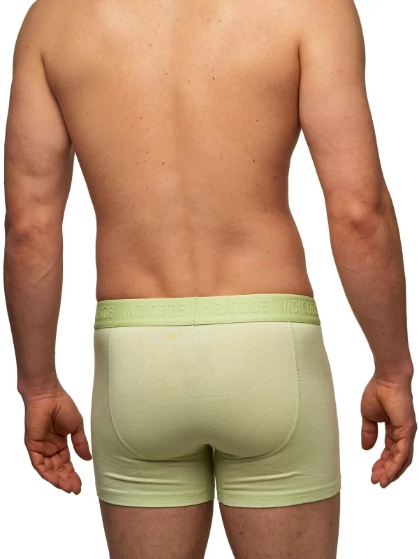 Indicode Boxershorts Matthesen 7