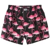 Lousy Livin Boxershorts Flamingos – Black 5