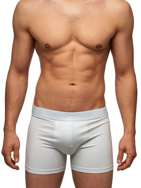 Indicode Boxershorts Matthesen 4