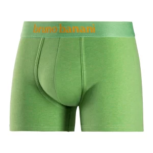 Bruno Banani Boxer (Packung, 2-St) Mit Schönem Logo-Webbund 8