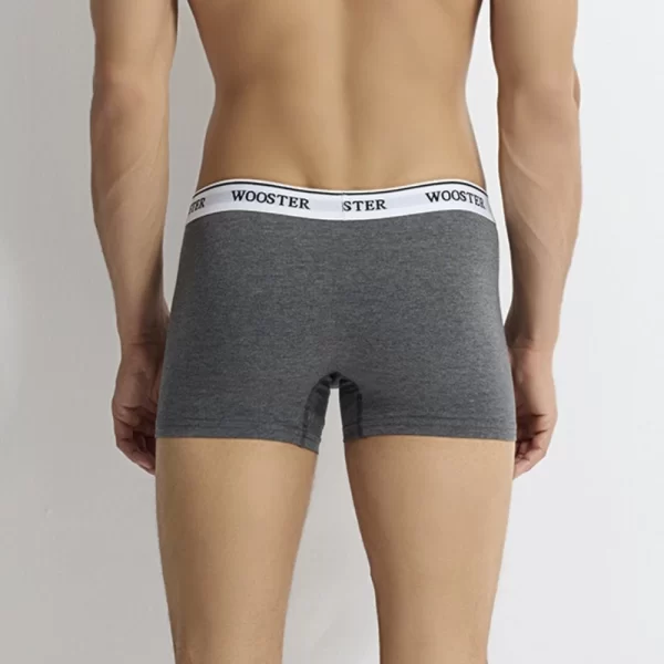 Wooster Boxershorts Strech Cotton » 3 Stück » Mit Overlock-Nähten Vorn » W-601 (Spar-Set, 3-St., 3er-Pack) In Der Türkei Hergestellt 7