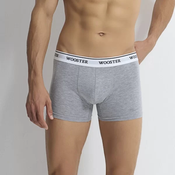 Wooster Boxershorts Strech Cotton » 3 Stück » Mit Overlock-Nähten Vorn » W-601 (Spar-Set, 3-St., 3er-Pack) In Der Türkei Hergestellt 4