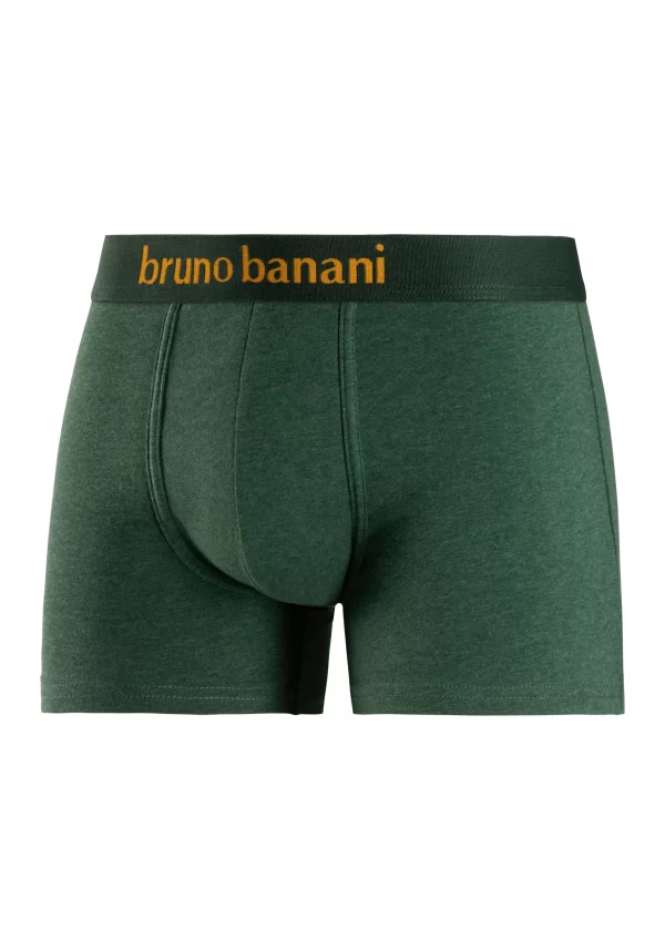 Bruno Banani Boxer (Packung, 2-St) Mit Schönem Logo-Webbund 4
