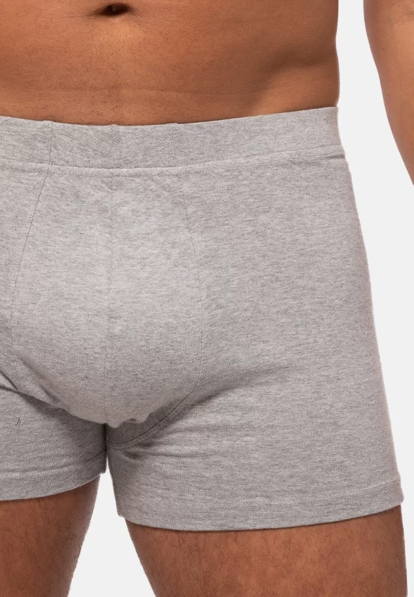 Almonu Retro Boxer 6er Pack Organic Cotton (Spar-Set, 6-St) Retro Short / Pant – Baumwolle – Ohne Eingriff 5