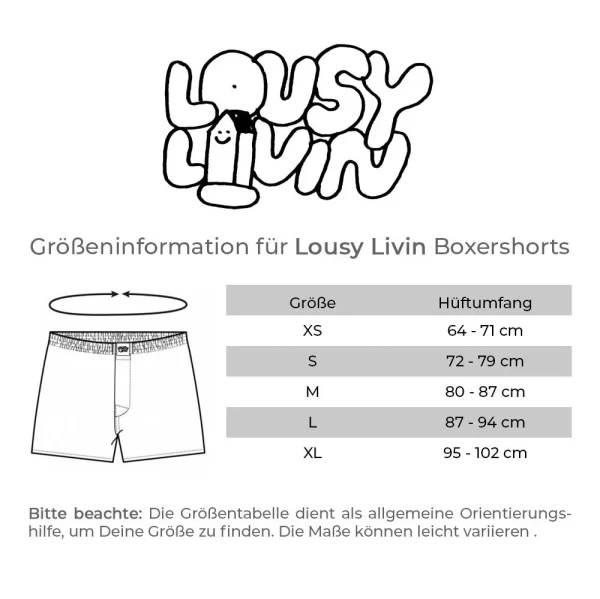 Lousy Livin Boxershorts Flamingos – Black 6