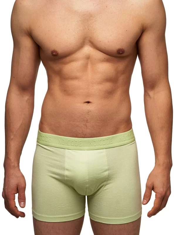 Indicode Boxershorts Matthesen 3